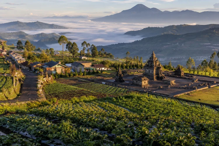 Perkembangan Desa Dieng Kulon dari Masa ke Masa